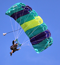 Parachute/skydiver