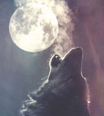 Howl at the moon! (by Goddess Rising Sisterhood)